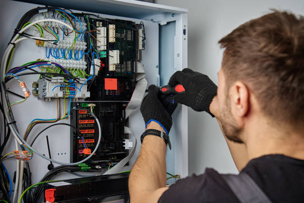 Licensed Electrical Panel Upgrade service in Laupahoehoe, HI - No Joke electrician